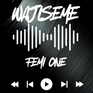 Album Wajiseme from 