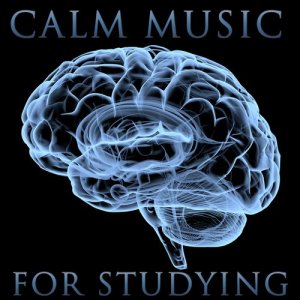 ดาวน์โหลดและฟังเพลง Gymnopedie พร้อมเนื้อเพลงจาก Calm Music for Studying