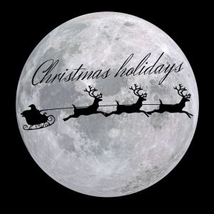 Listen to White Christmas (Trio) song with lyrics from Massimo Pirone