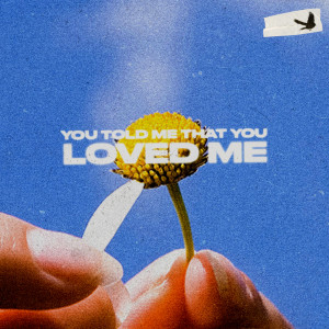 Album You Told Me That You Loved Me from Jamie Grey