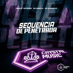 Album Sequência de Penetrada (Explicit) from Hiesley Tatuzinho
