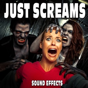 Sound Ideas的專輯Just Screams Sound Effects