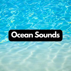 Album Oceanic Overtures: Calming Sea Tunes oleh Natural Waters