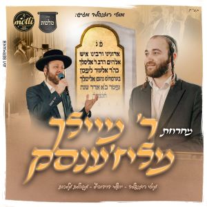 Album ר' מיילך מליז'ענסק from 