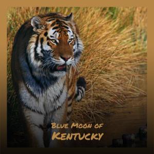 Album Blue Moon of Kentucky from Silvia Natiello-Spiller