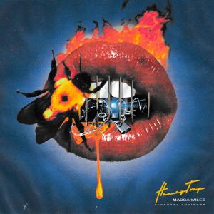 ดาวน์โหลดและฟังเพลง Honeytrap (Explicit) พร้อมเนื้อเพลงจาก Macca Wiles