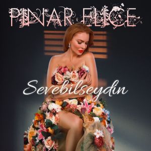 收聽Pınar Eliçe的Sevebilseydin歌詞歌曲