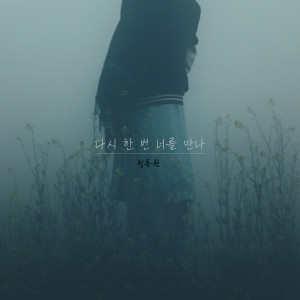 Album I'll see you again from 정동원