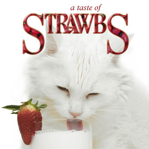 ดาวน์โหลดและฟังเพลง Armada พร้อมเนื้อเพลงจาก The Strawbs