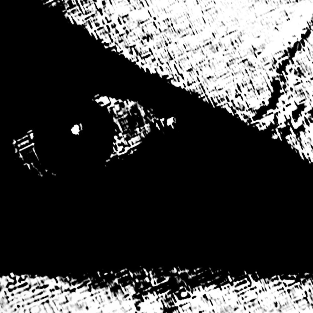 Distorted Views (Explicit)