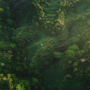收听Música De Relajación Para Dormir Profundamente的River Flows In You歌词歌曲