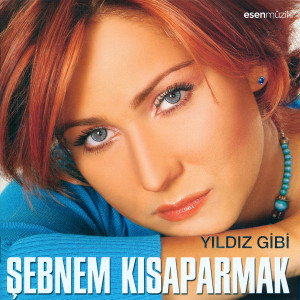Listen to Yıldız Gibi song with lyrics from Şebnem Kısaparmak
