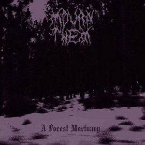 ดาวน์โหลดและฟังเพลง Darkest Depths of Mills พร้อมเนื้อเพลงจาก Mourn Them