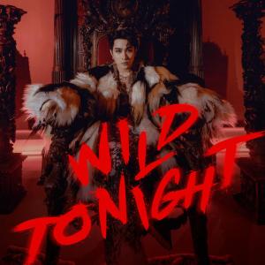收聽Josh Cullen的WILD TONIGHT歌詞歌曲