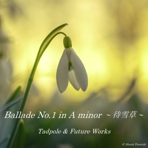 Listen to Ballade No.1 in A minor ~ 待雪草 ~ song with lyrics from Tadpole