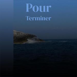 Pour Terminer