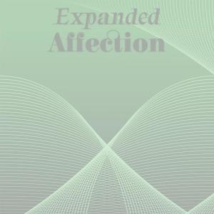 Various Artists的专辑Expanded Affection