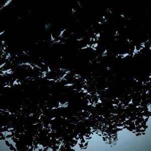 Listen to Has song with lyrics from Trinaural In Dub