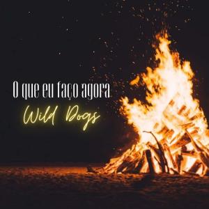 收聽wild dogs的O Que Eu Faço Agora歌詞歌曲