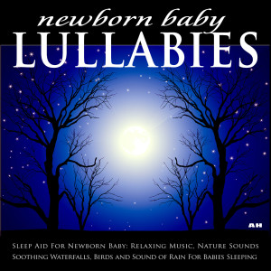 收听Newborn Baby Lullabies的Nap Time歌词歌曲