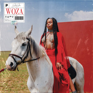ดาวน์โหลดและฟังเพลง Woza (Radio Edit) พร้อมเนื้อเพลงจาก Sha Sha