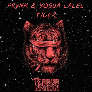 ดาวน์โหลดและฟังเพลง Tiger พร้อมเนื้อเพลงจาก PRVNK