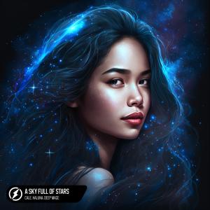 ดาวน์โหลดและฟังเพลง A Sky Full Of Stars พร้อมเนื้อเพลงจาก Halüna