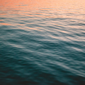 Listen to Deep Sleep Inside the Nest song with lyrics from Relaxation Sleep Meditation