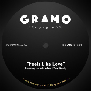 Listen to Feels Like Love (Original Mix) song with lyrics from Gramophonedzie