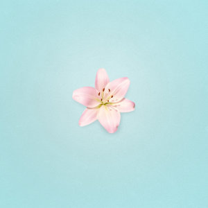 ดาวน์โหลดและฟังเพลง Darling พร้อมเนื้อเพลงจาก Holygood