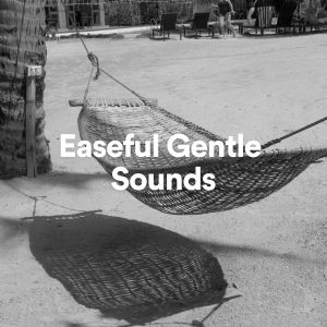 Easeful Gentle Sounds dari Brown Noise Baby