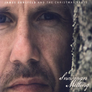 ดาวน์โหลดและฟังเพลง Until I See You พร้อมเนื้อเพลงจาก Jim Sonefeld