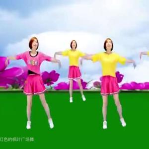 最火广场舞大全 dari 过往随心