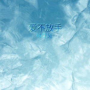 收聽林莫風的愛不放手歌詞歌曲