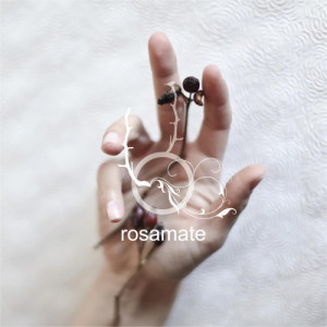ดาวน์โหลดและฟังเพลง V.A.M.P. พร้อมเนื้อเพลงจาก RosaMate