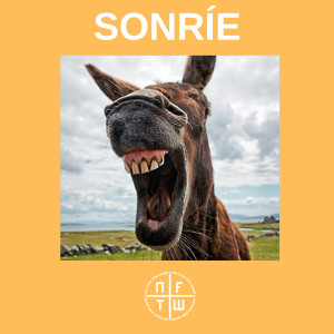 Album Sonríe from NFTW (Not From This World)