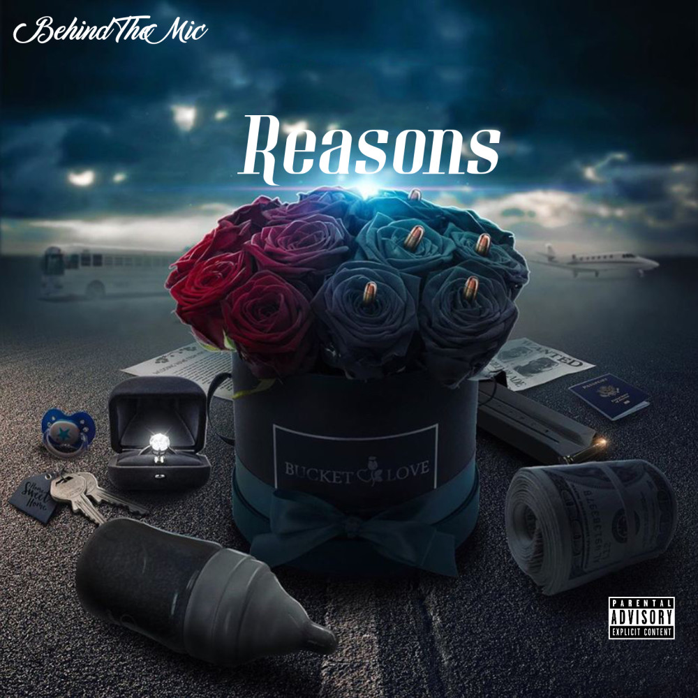 Reasons (Explicit)