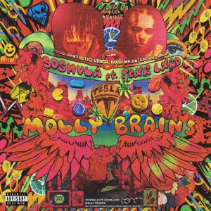 อัลบัม MOLLY BRAINS (feat. Scarlxrd) (Explicit) ศิลปิน Synthetic