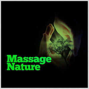 收聽Massage Tribe的Stream at Dawn歌詞歌曲