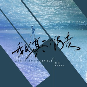 Album 我的真心很贵 from 艾北