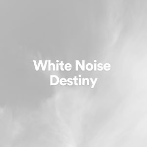 The Background Noise Company的专辑White Noise Destiny