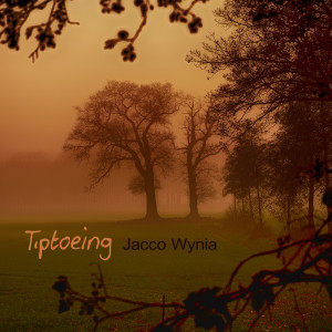 Dengarkan Tiptoeing lagu dari Jacco Wynia dengan lirik