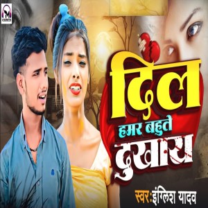 收听English yadav的Dil Hamar Bahute Dukhay歌词歌曲