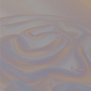 Album Used to Fall from 