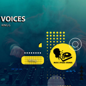 อัลบัม Voices ศิลปิน King G