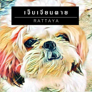 ดาวน์โหลดและฟังเพลง เจียนตาย พร้อมเนื้อเพลงจาก RATTAYA