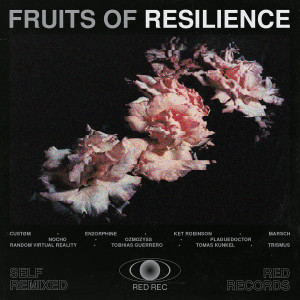 Various Artists的專輯Fruits Of Resilience (Self Remixed) (Explicit)