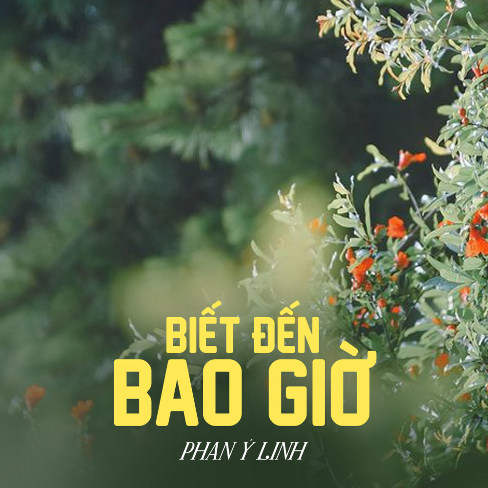 Biết Đến Bao Giờ