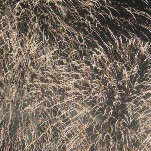 ดาวน์โหลดและฟังเพลง kokorokara พร้อมเนื้อเพลงจาก Fortis