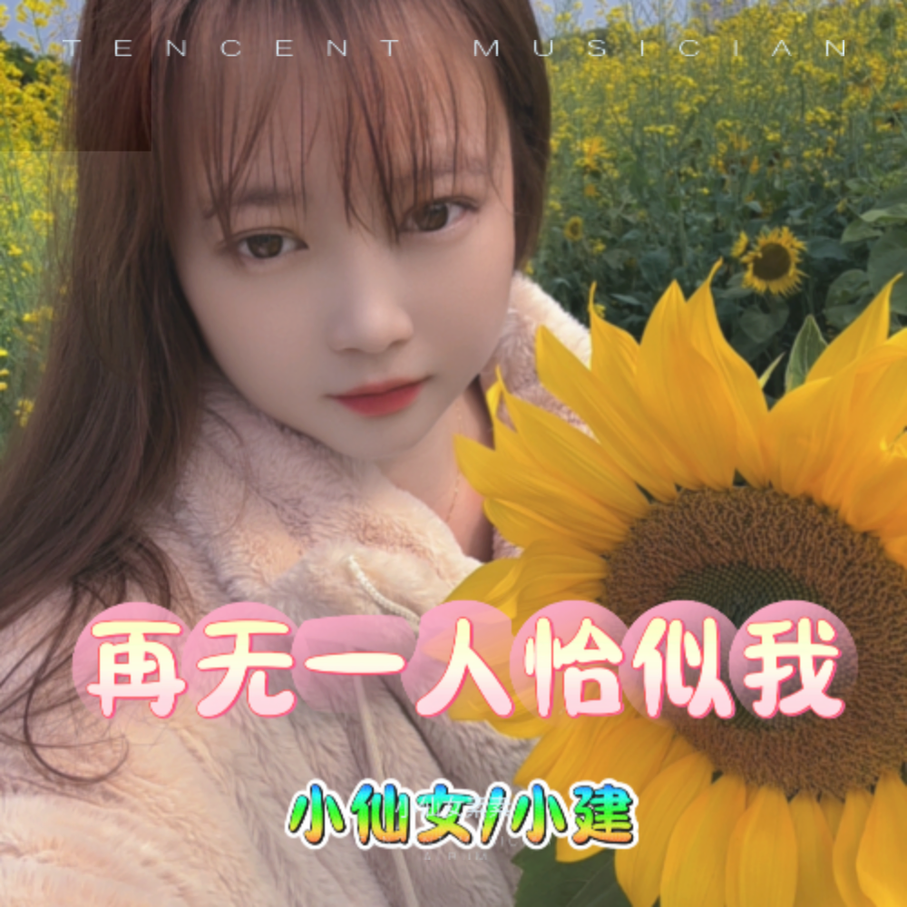 再无一人恰似我 (伴奏)